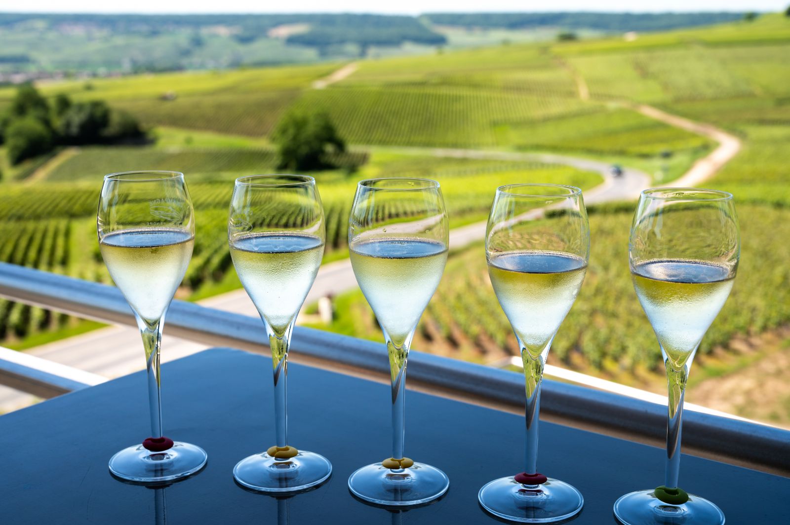 Champagne tasting in France