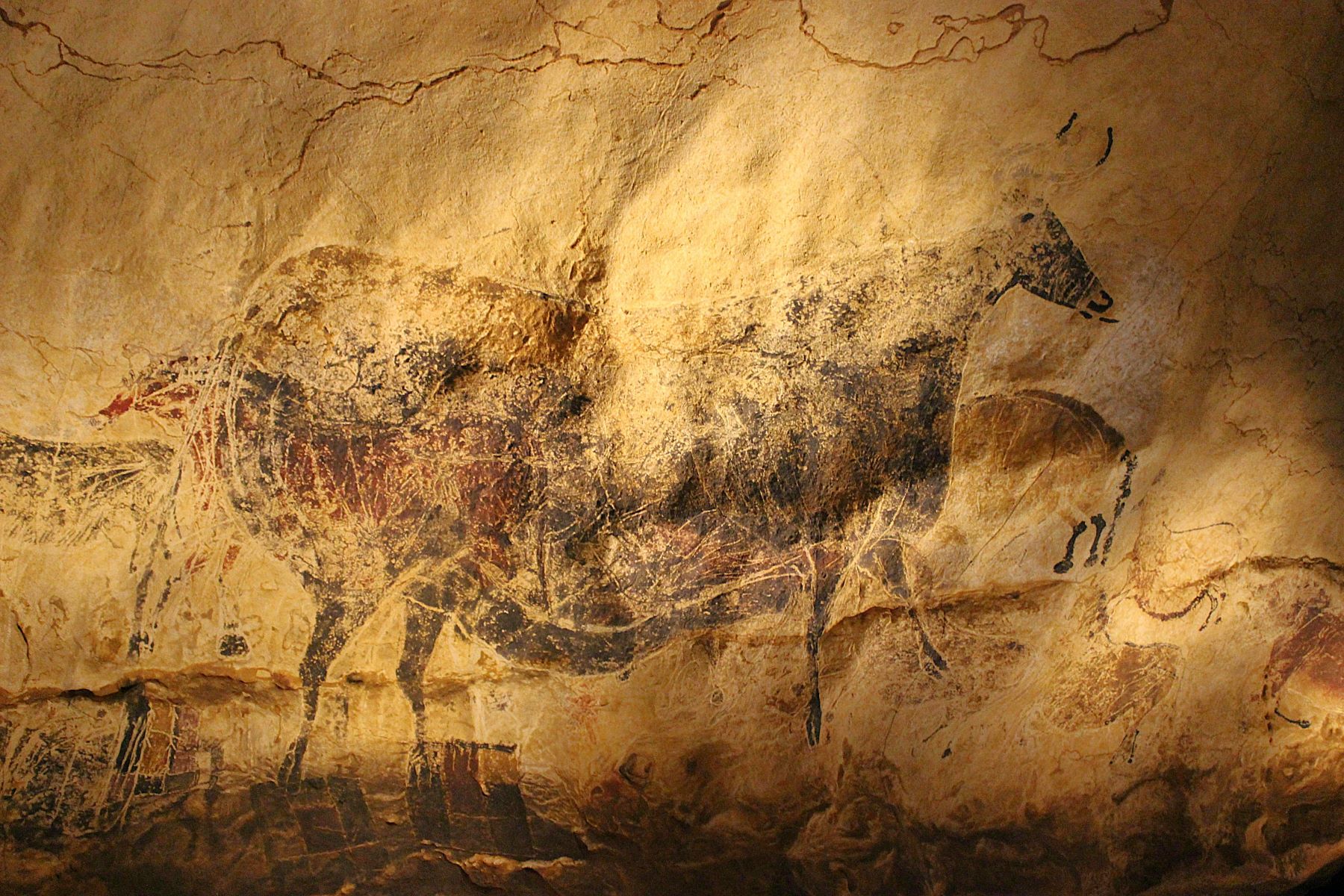 Cave paintings on the wall at Lascaux Caves in South West France