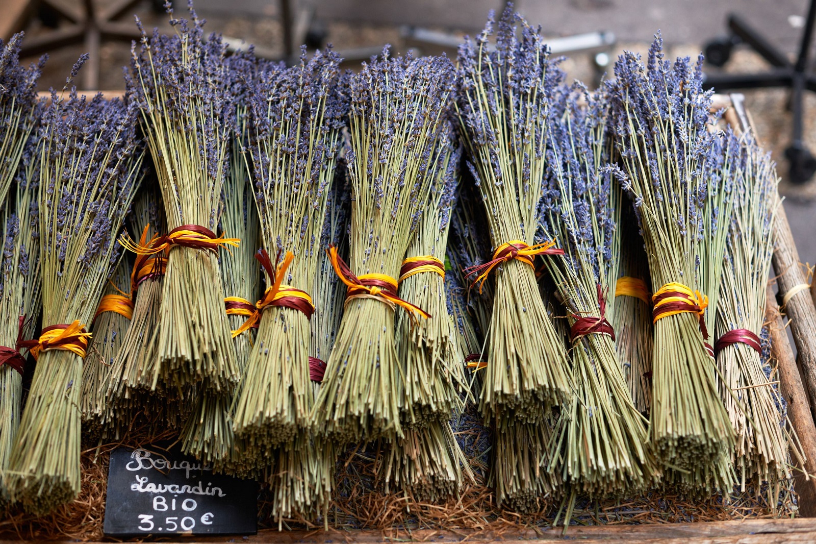 Lavender harvested in France