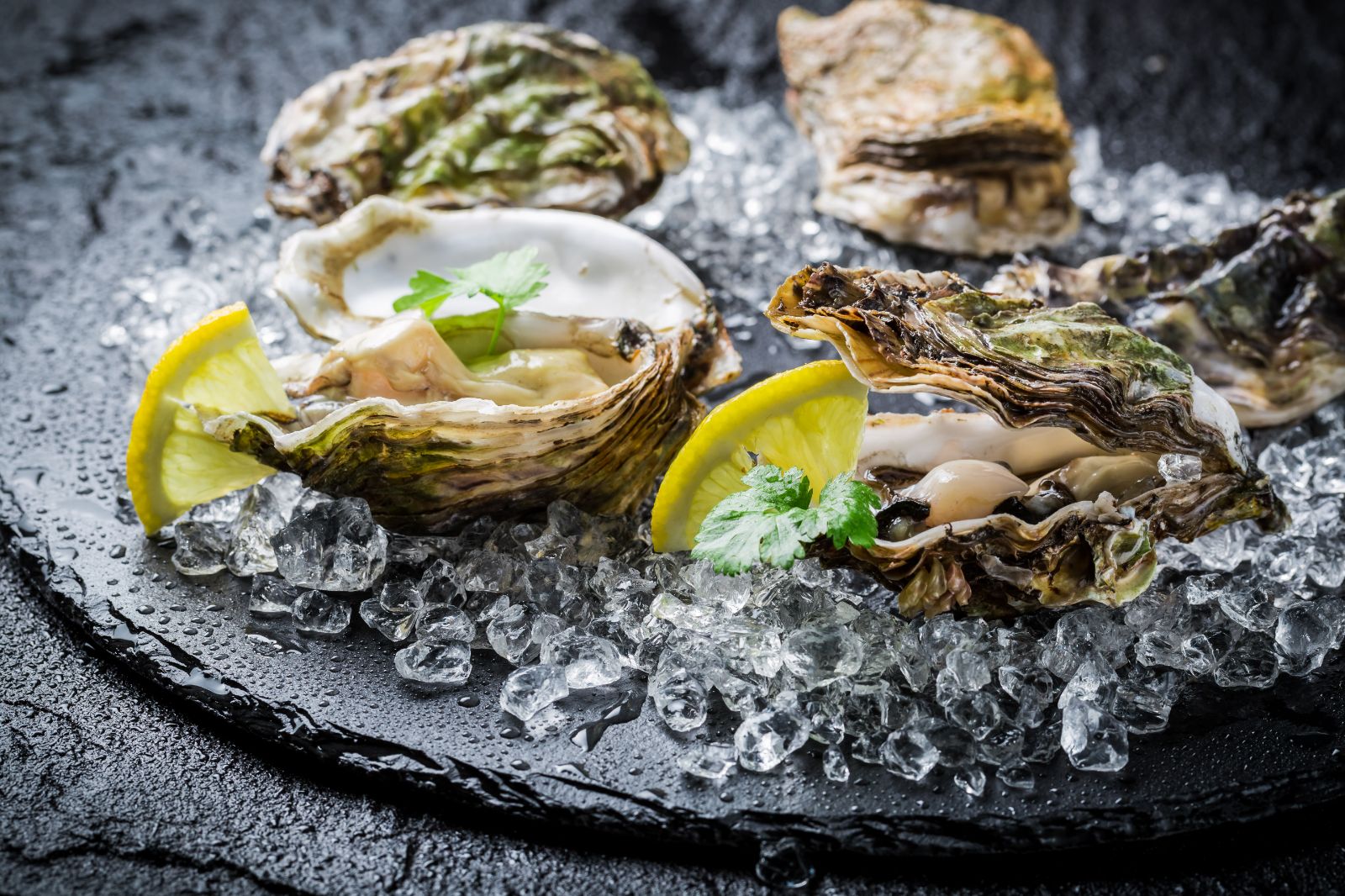 Oysters served in a restaurant in France