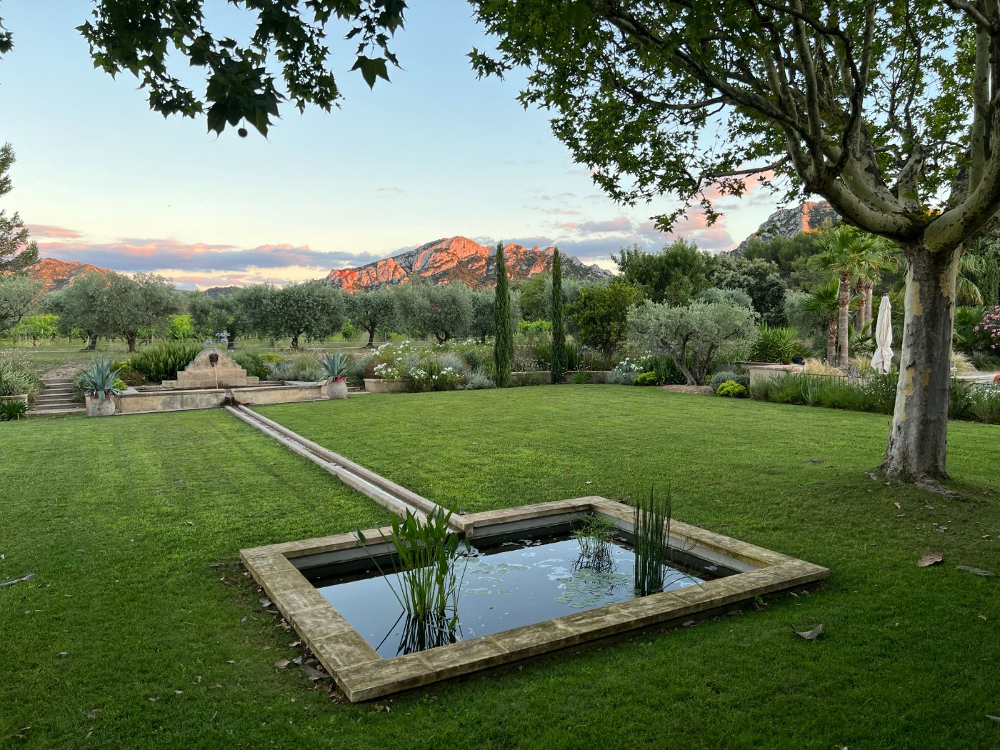 Gardens in the Evening at Bastide des Cypres in Provence