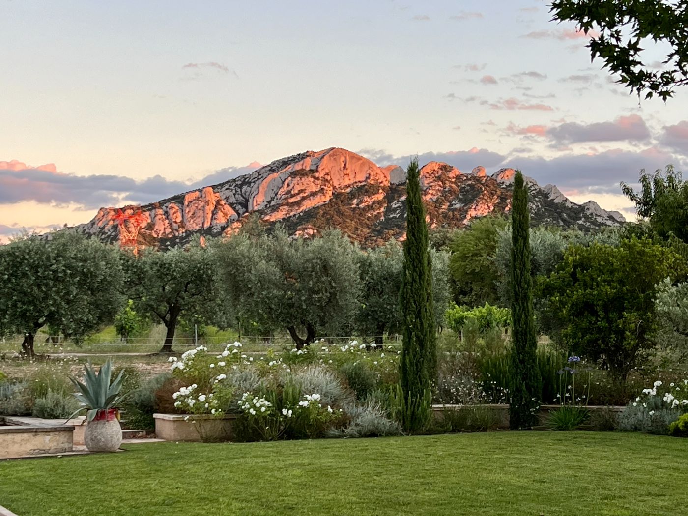 View from Bastide des Cypres in Provence