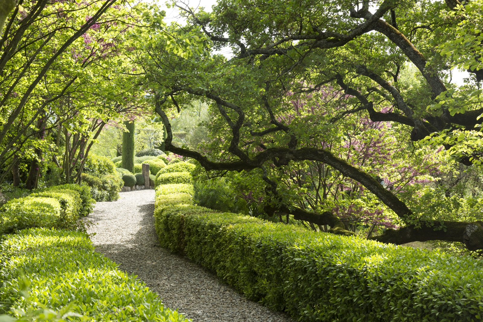 Garden with trees, hedges, flowers and pathway at Bastide Luberon in near Bonnieux Provence, France
