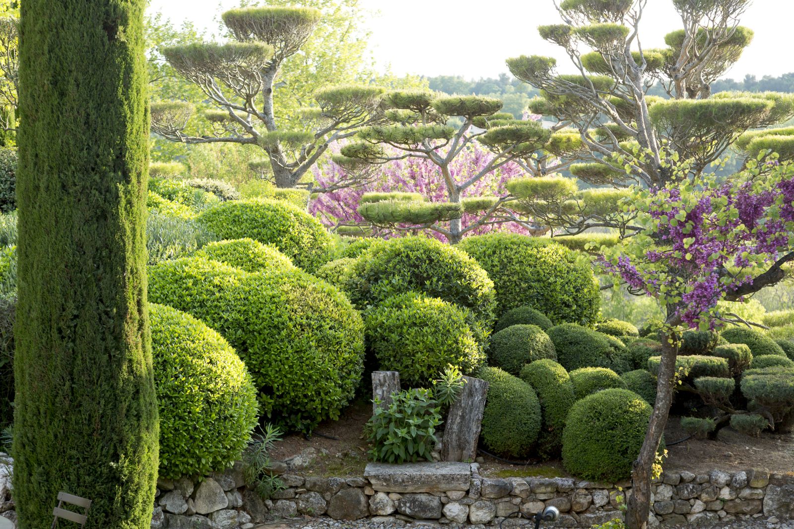 the garden at the Bastide Luberon in Provence