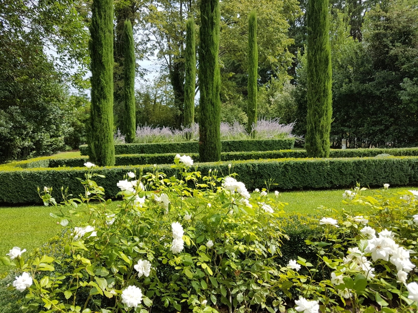 White flowers and large lawns Bastide sur la Sorgue in Provence 