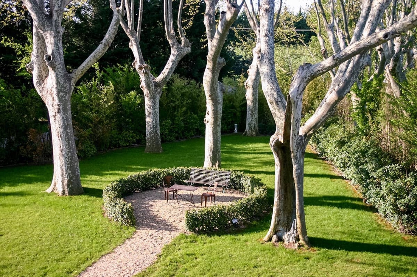 Outdoor seating framed with tall birch trees Bastide sur la Sorgue in Provence