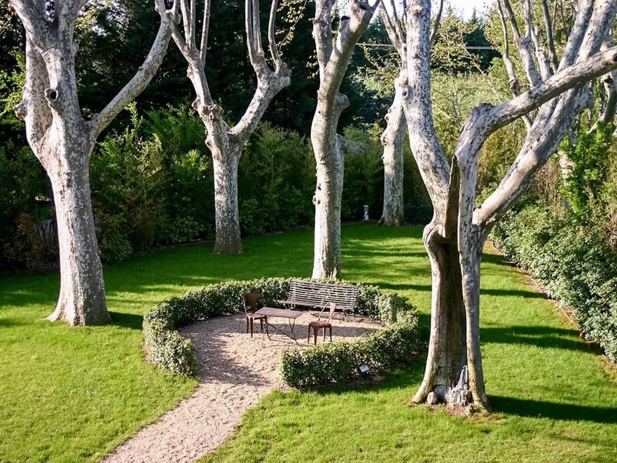 Outdoor seating framed with tall birch trees Bastide sur la Sorgue in Provence