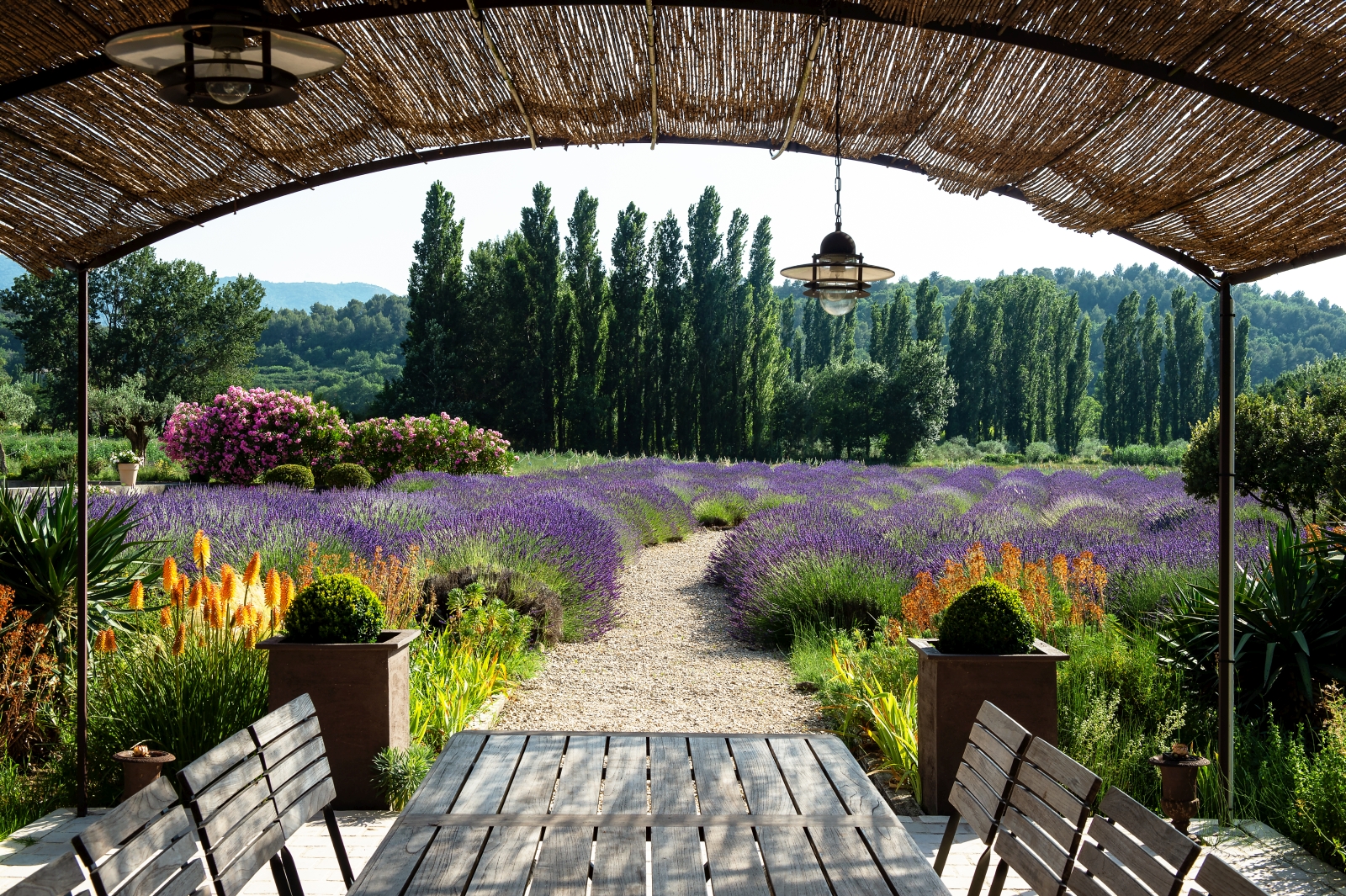 Covered outdoor dining area and path through lavender bushes at Domaine des Baumettes in Provence, France