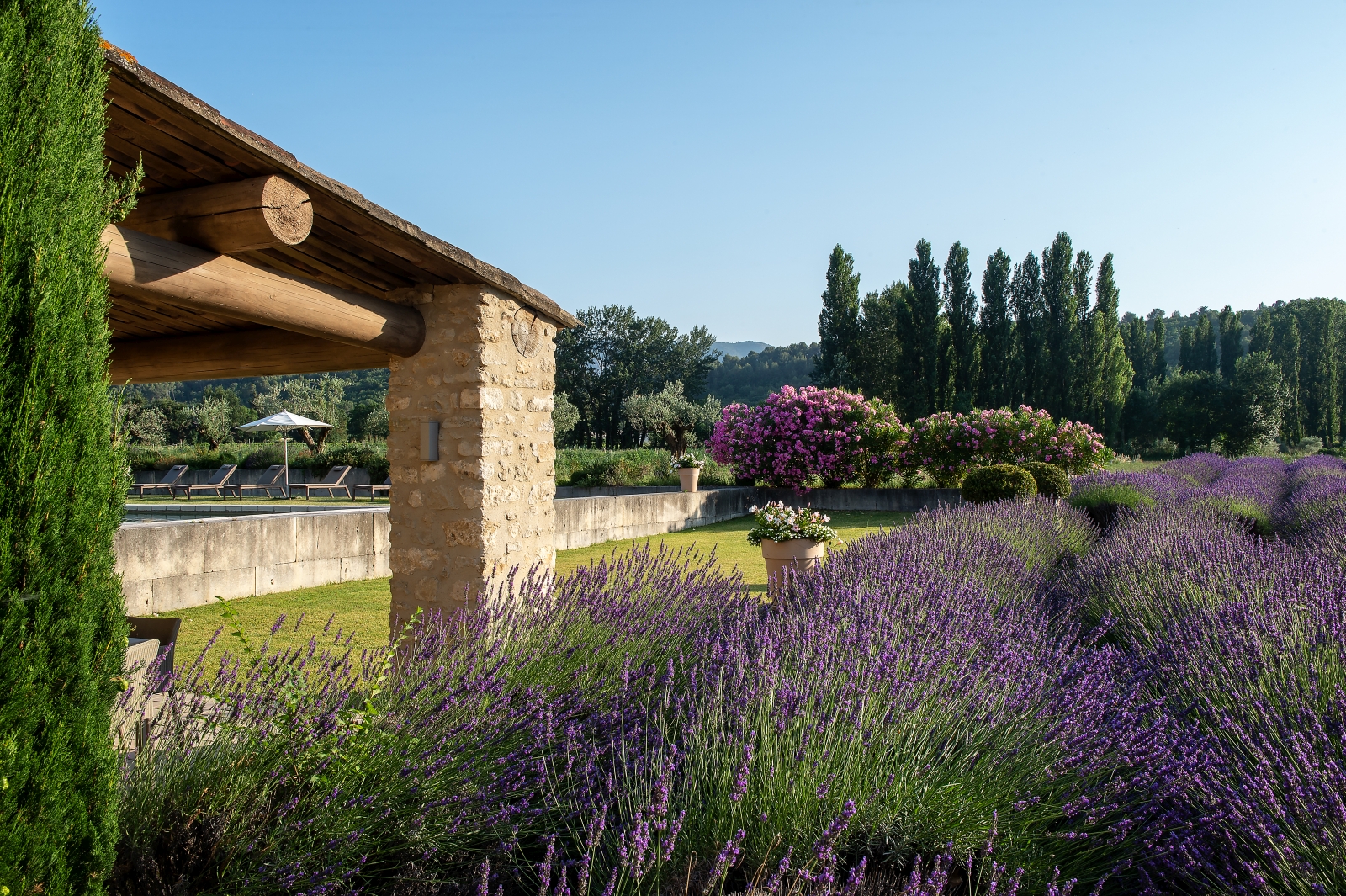 Garden, pool area and lavender bushes at Domaine des Baumettes in Provence, France
