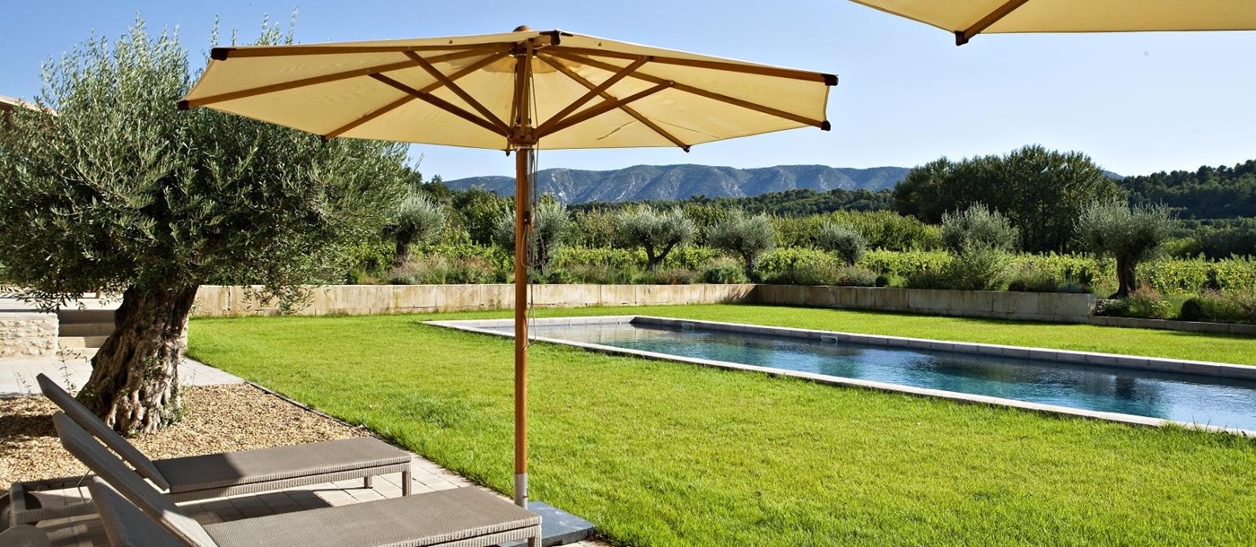 Sun loungers, umbrellas, olive tree and lawn next to pool with mountain view at Domaine des Baumettes in Provence, France