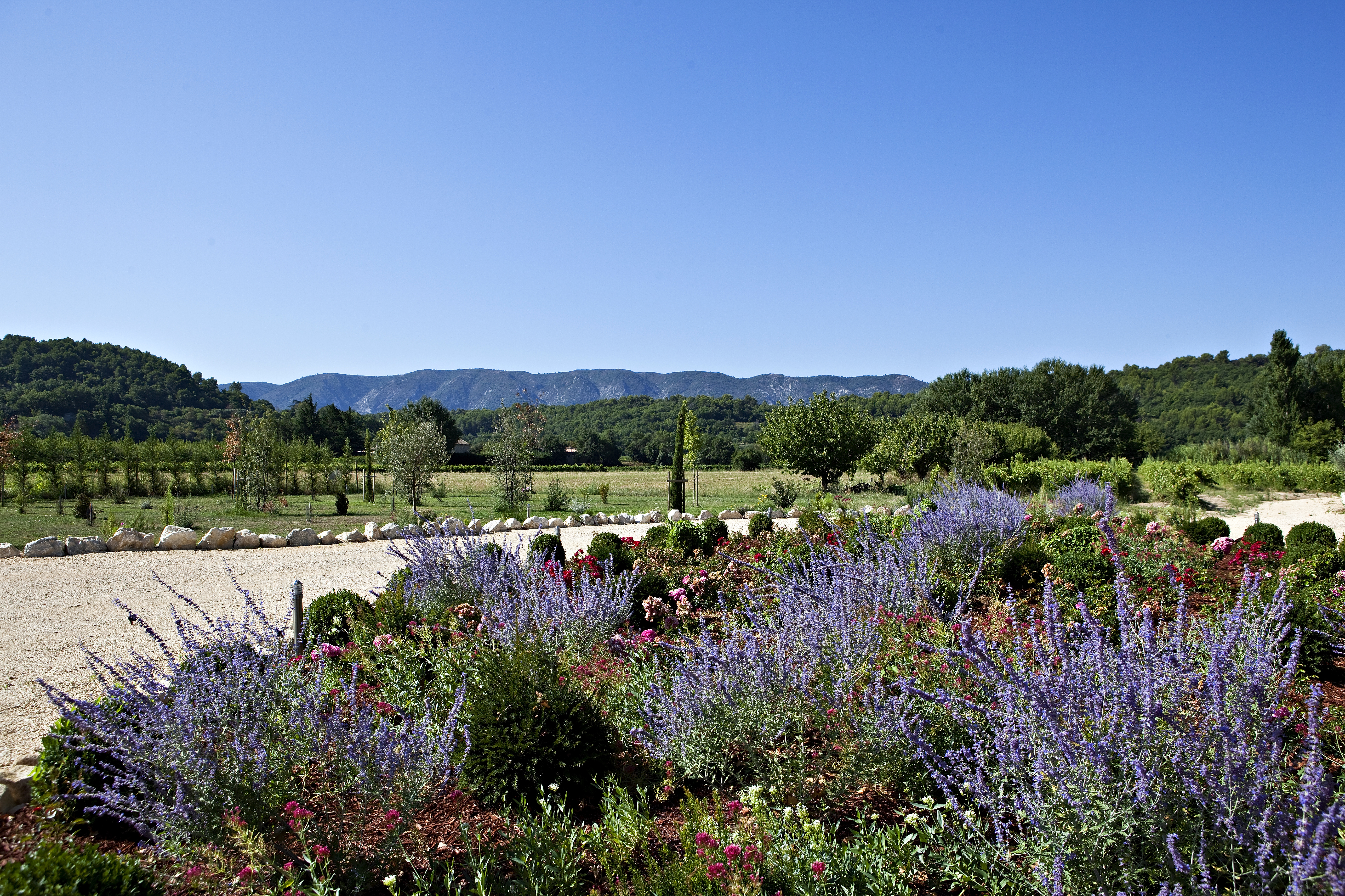 the garden at domaine des baumettes