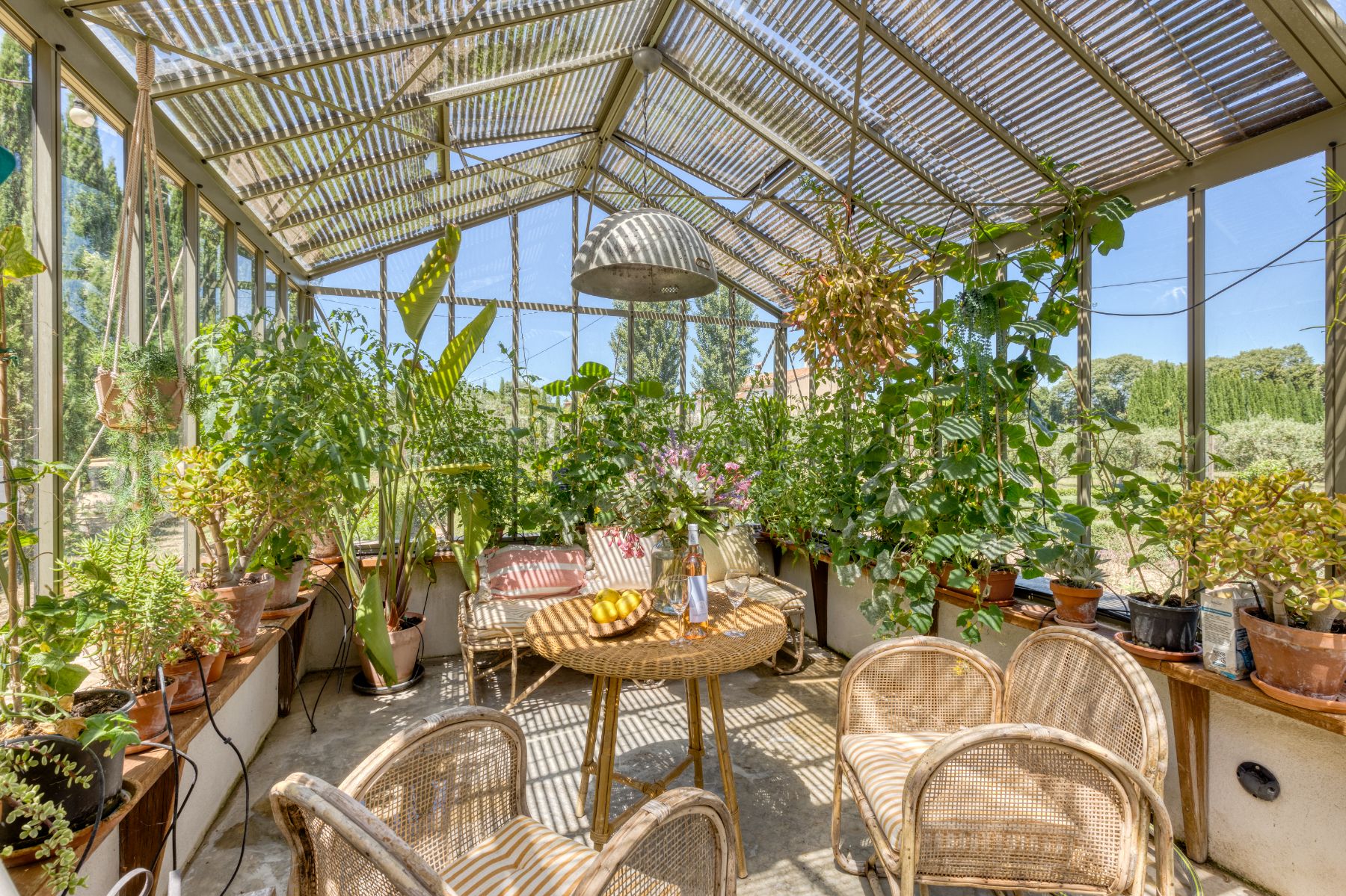 Greenhouse Interior at La Roulotte in Provence