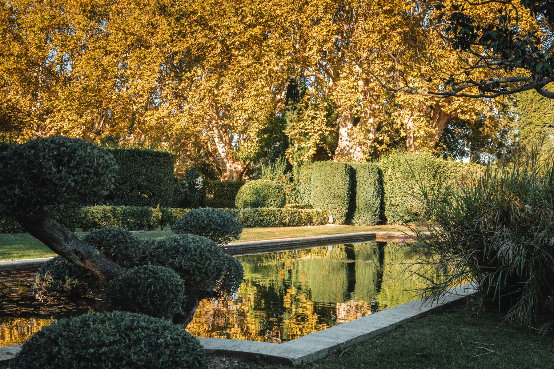 Pond at Le Mas de Liliana in Provence