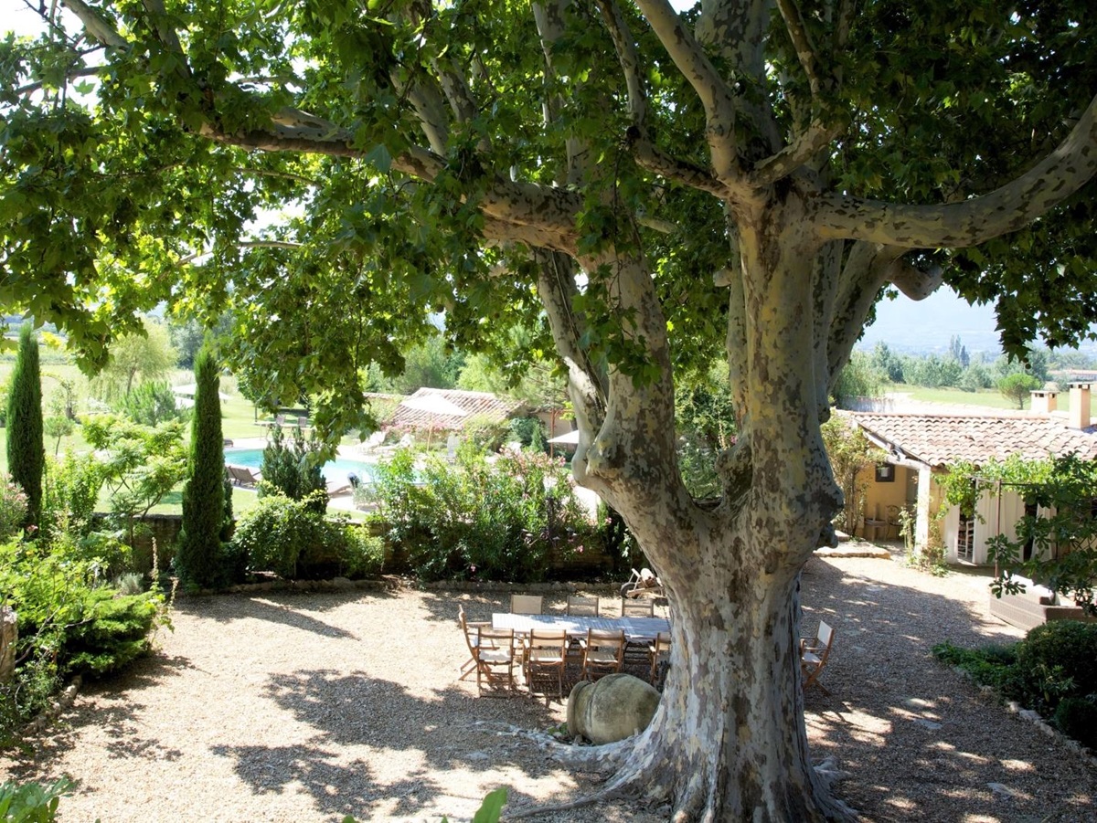 Aerial view of terrace with table, chairs and tree and garden with pool at Le Pont Romain in Provence, France