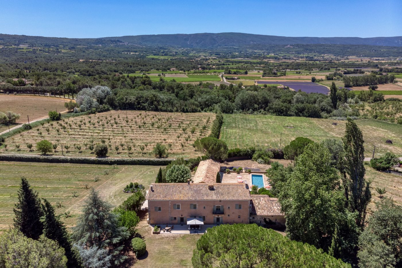 Aerial View of Vines at Mas Bonnieux in Provence