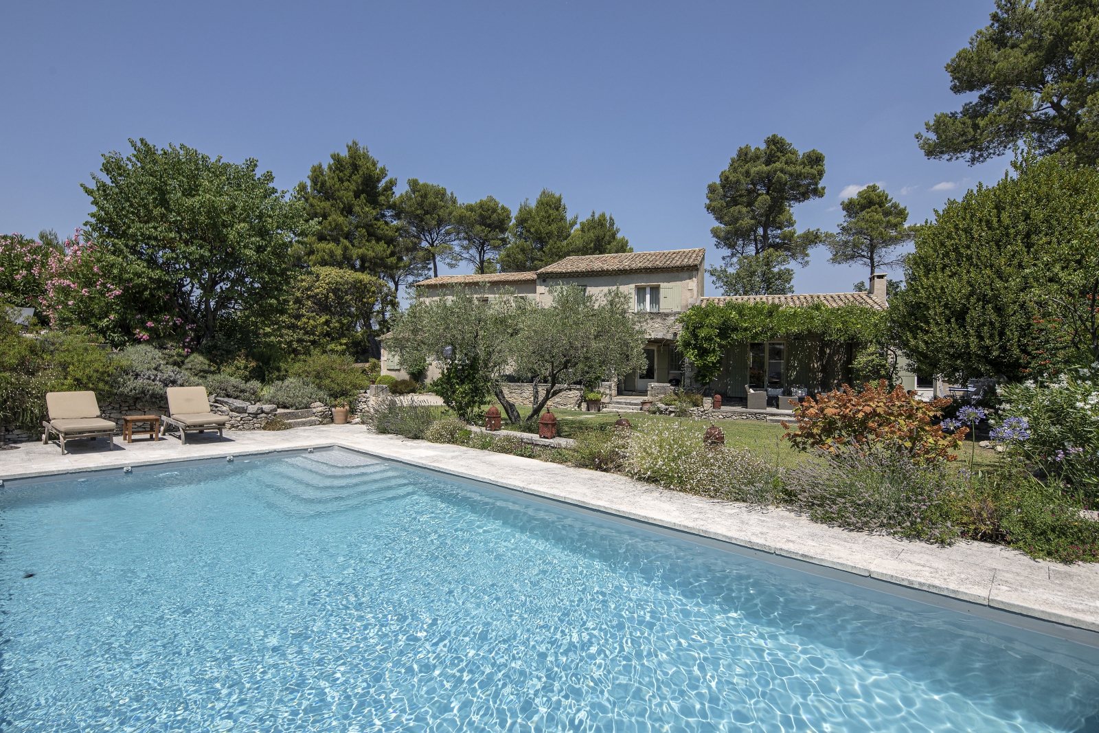 Pool, sun loungers, villa and garden with plants, flowers and trees at Mas Cecile in Provence, France