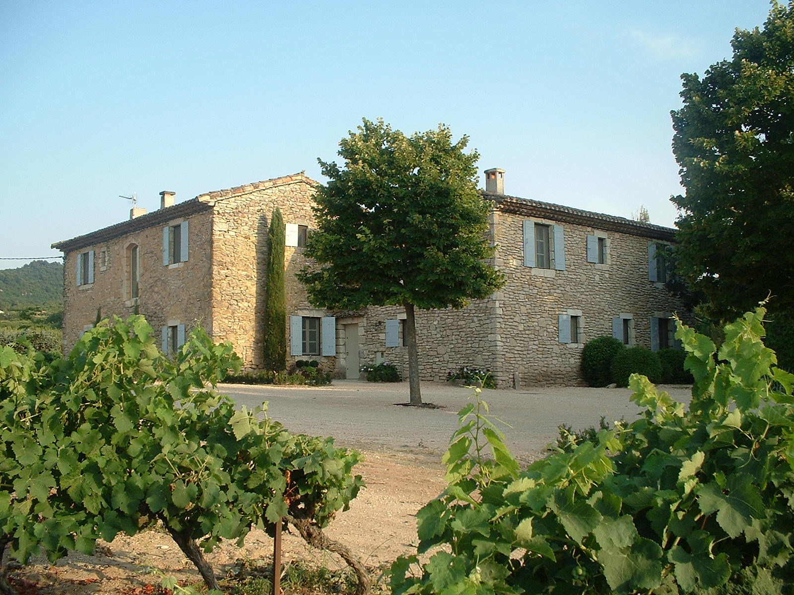 Façade of villa and driveway with tree next to vineyard at Mas des Cerisiers in Provence, France