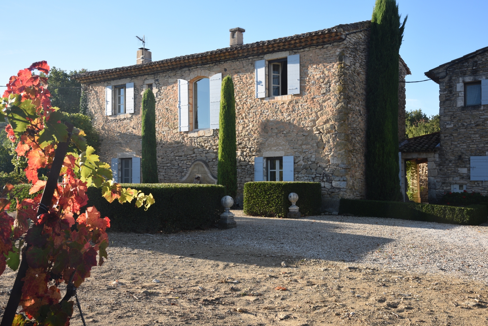 Facade, trees,  hedges and vines at Mas des Cerisiers in Provence, France