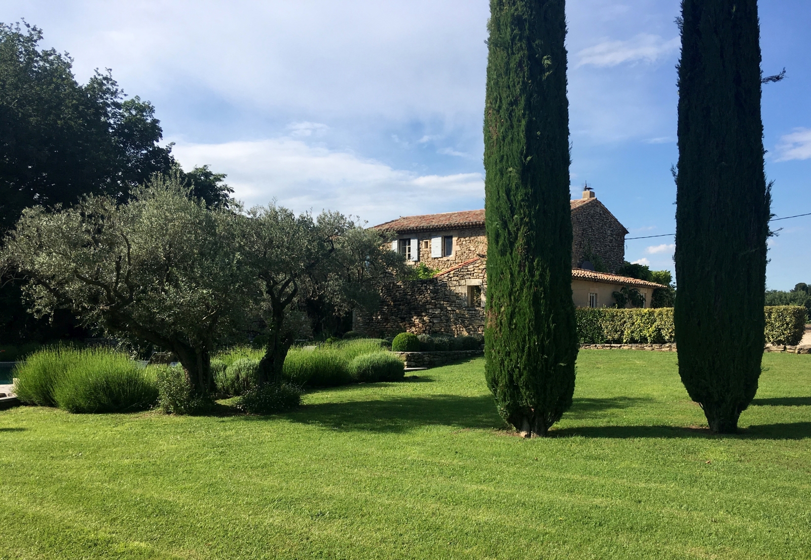 Garden with olive trees and cypress trees at Mas des Cerisiers in Provence, France