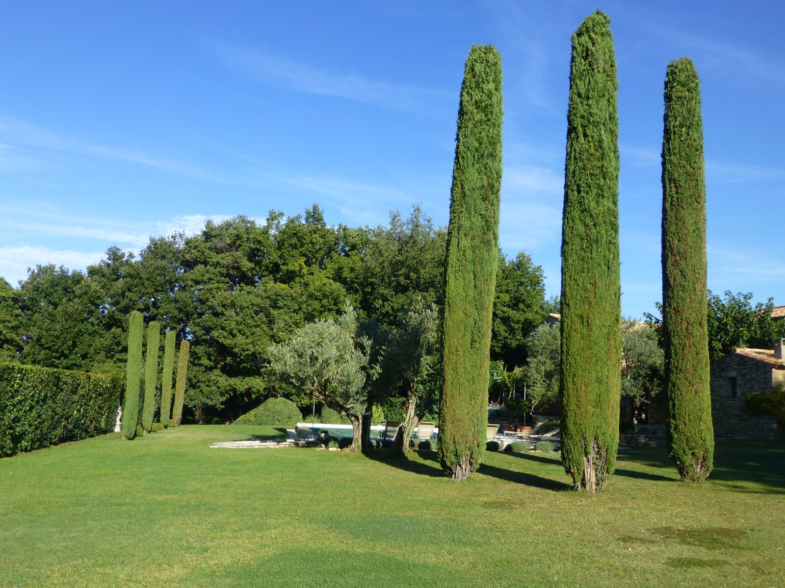 Garden with cypress trees, hedges, green grass and pool at Mas des Cerisiers in Provence, France