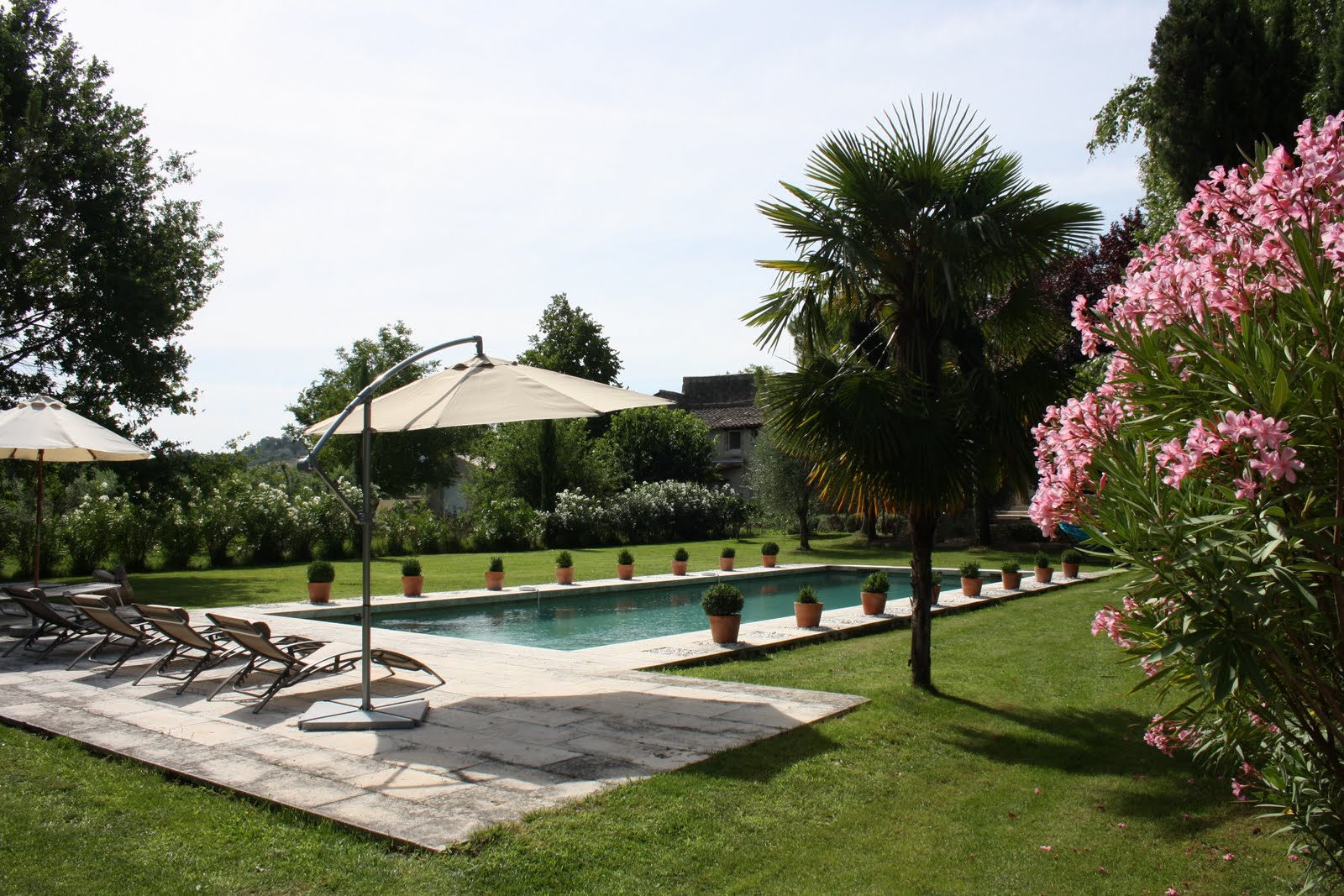 Swimming pool and sunbeds at Mas Jaisses, Provence