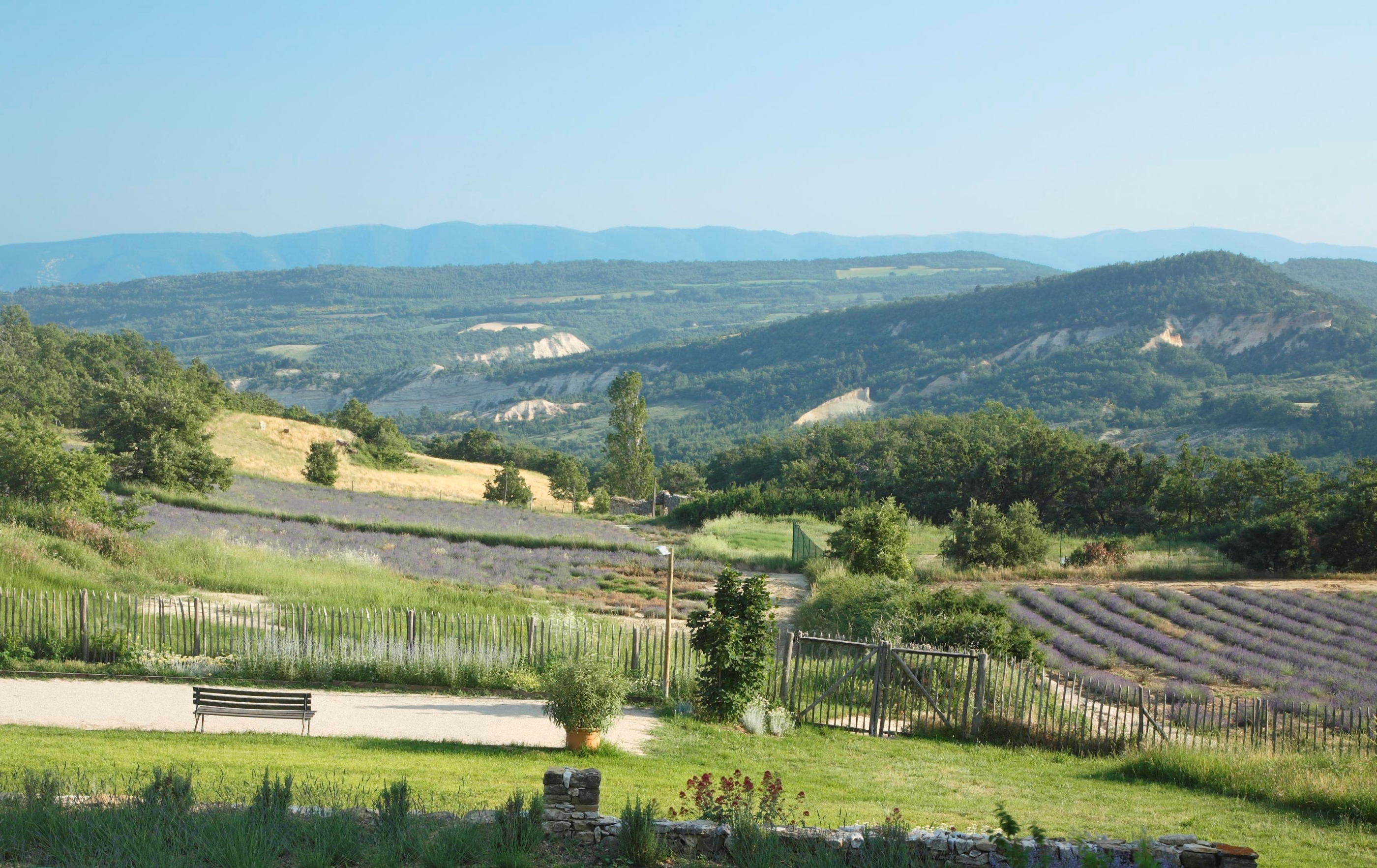 view from Villa Thyme, Provence