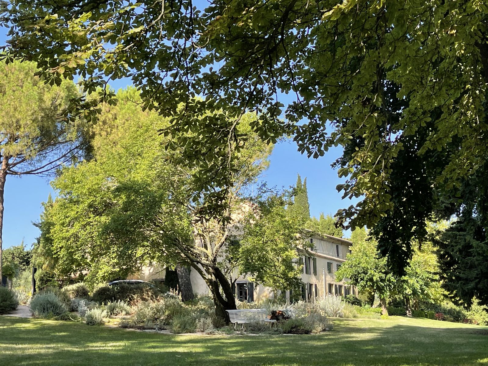 Garden with trees at Domaine de la Hille in France