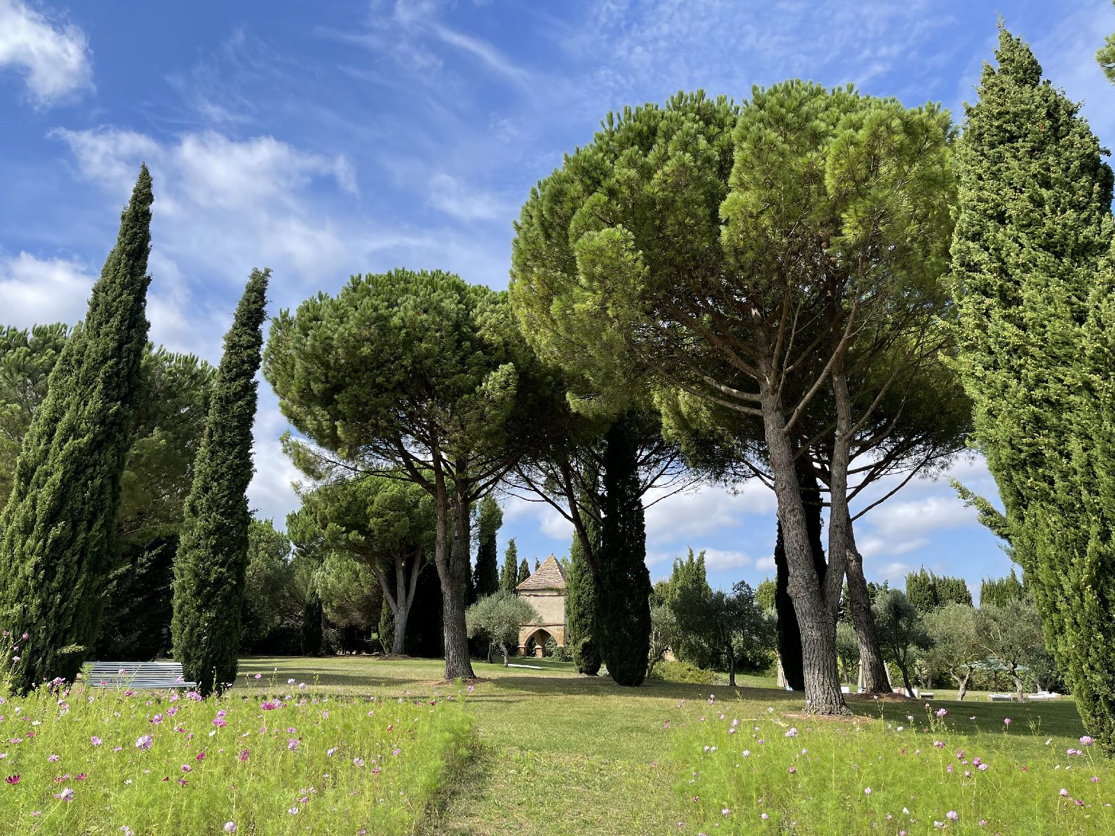 Tall trees and garden at Domaine de la Hille in France