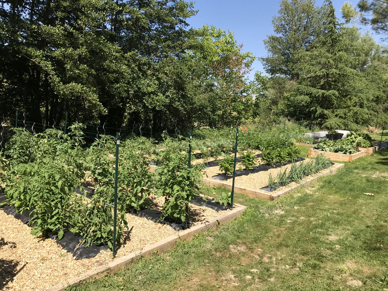 Vegetable patch at Domaine de la Hille in France