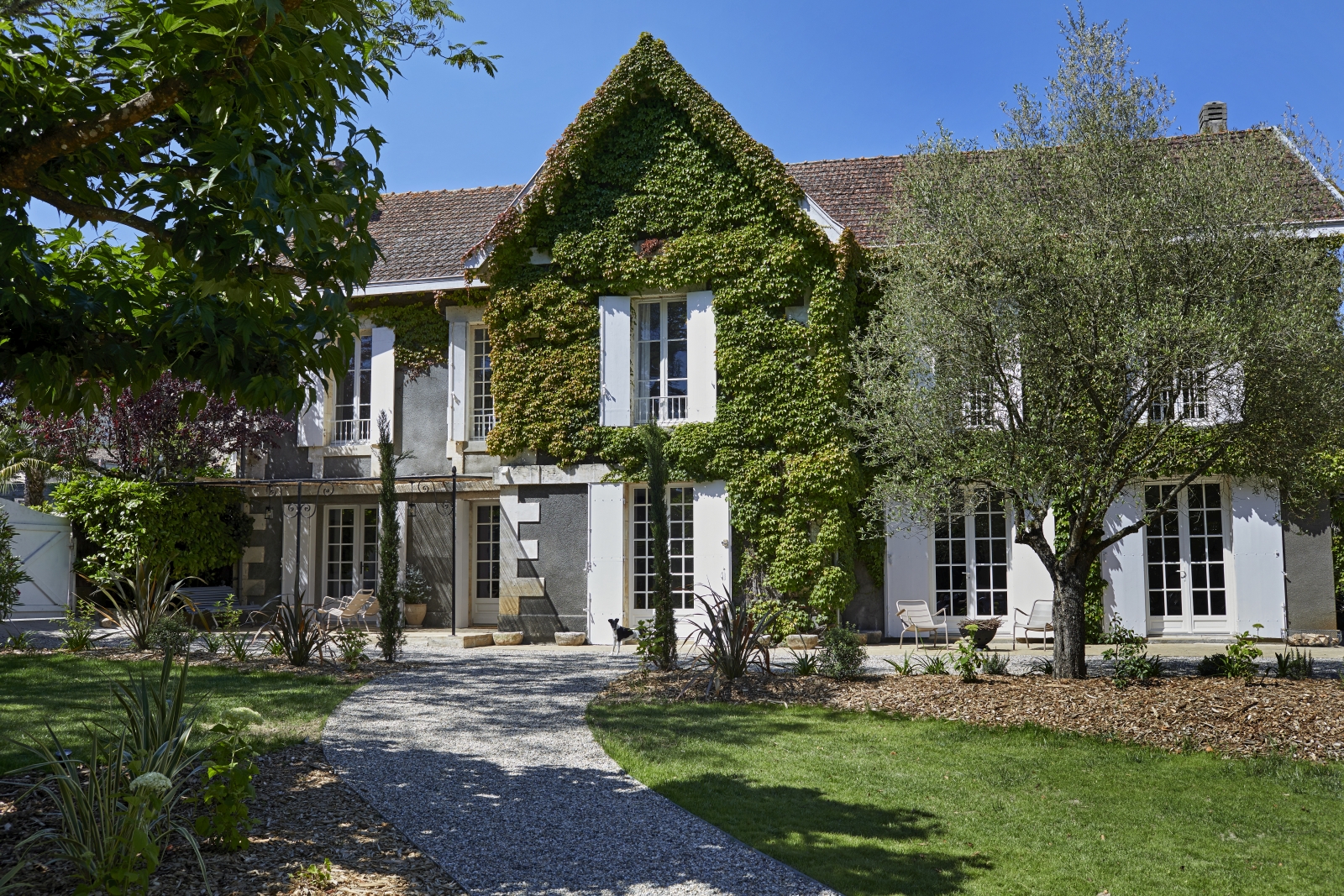exterior of villa with lush greenery on the facade at pomiera, france