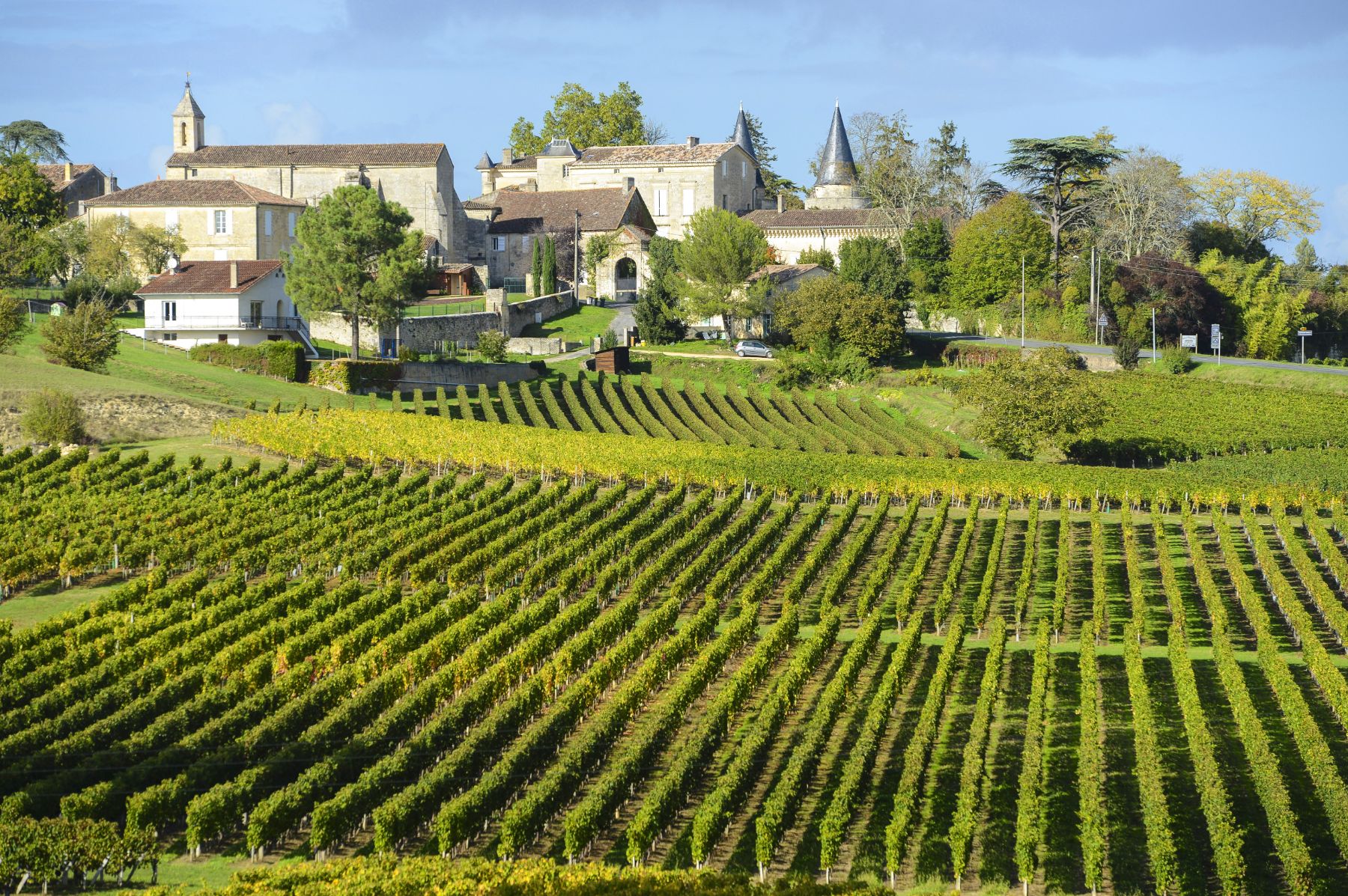 The vineyards of Saint Emilion in France with the village in the distance