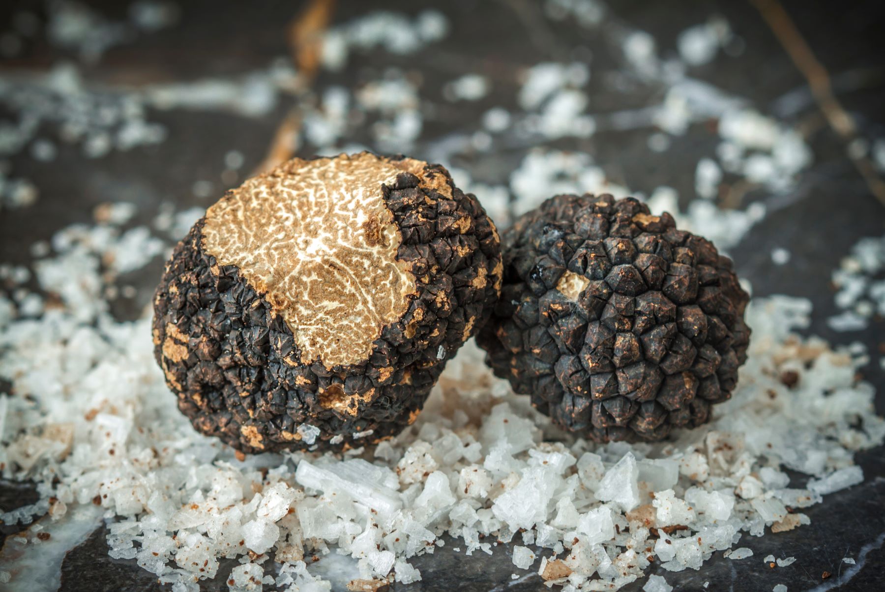 Black truffles from Provence