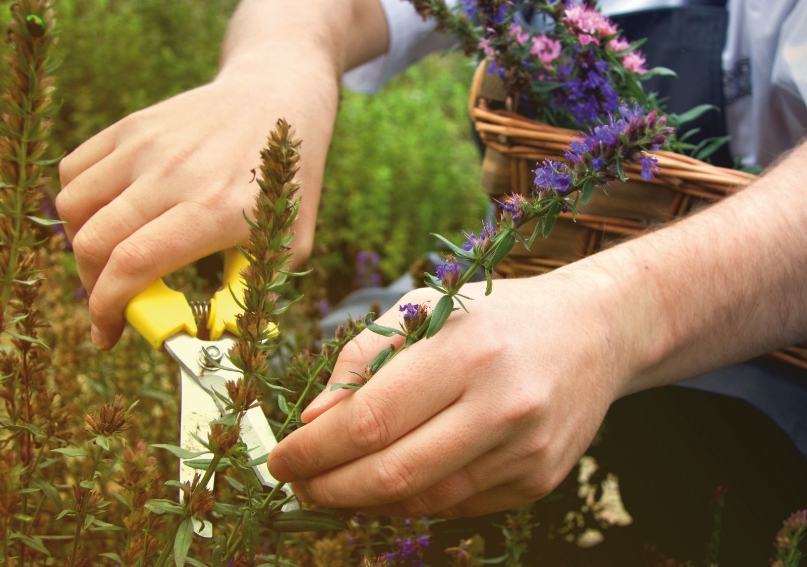 Gardening school at Belmond Le Manoir Aux Quat'Saisons in Oxfordshire