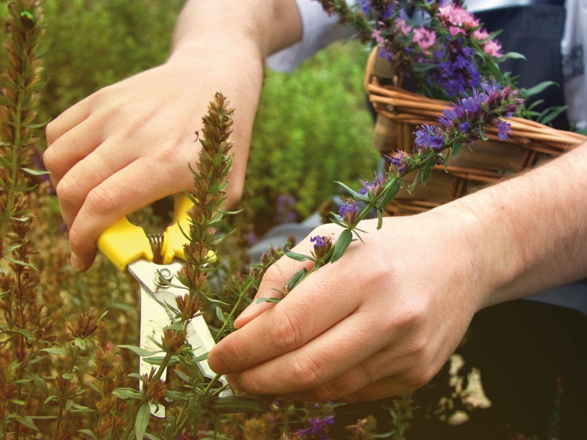 Gardening school at Belmond Le Manoir Aux Quat'Saisons in Oxfordshire
