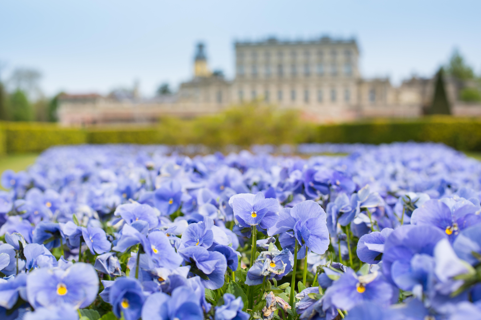 Grounds full of flowers at Cliveden House in Berkshire UK