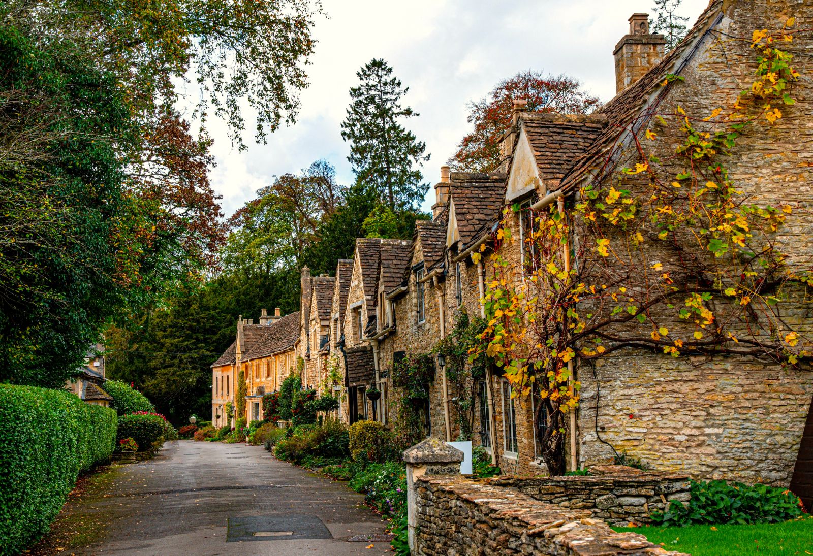 A street with ivy-clad houses in Castle Combe