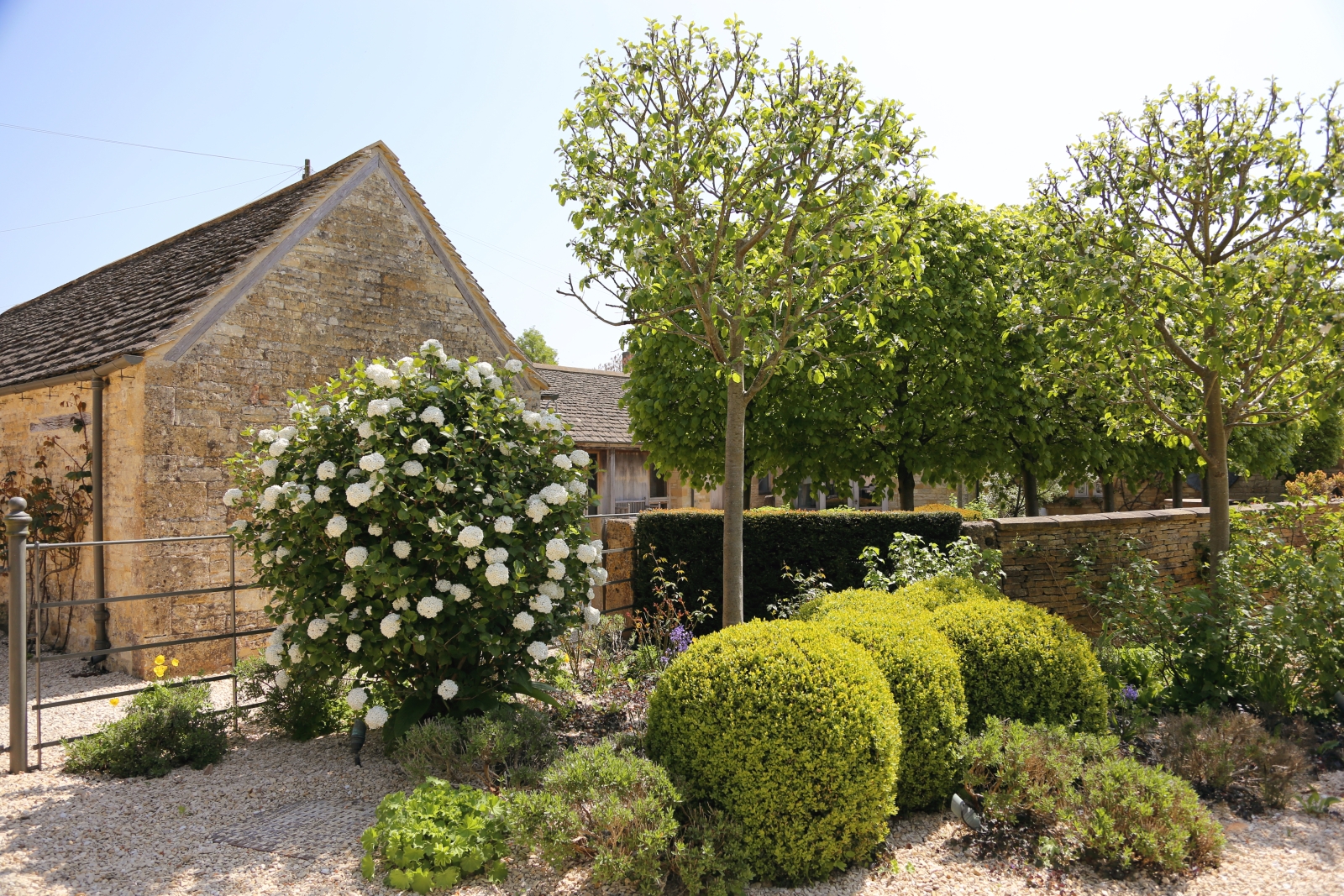 Garden with plants, trees, flowers and Cotswold stone buildings at Temple Guiting Barn in the Cotswolds, England