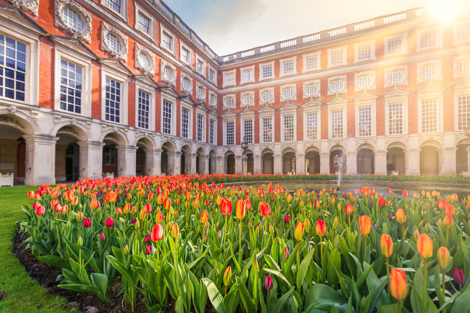Tulips in a courtyard at Hampton Court Palace near London, England