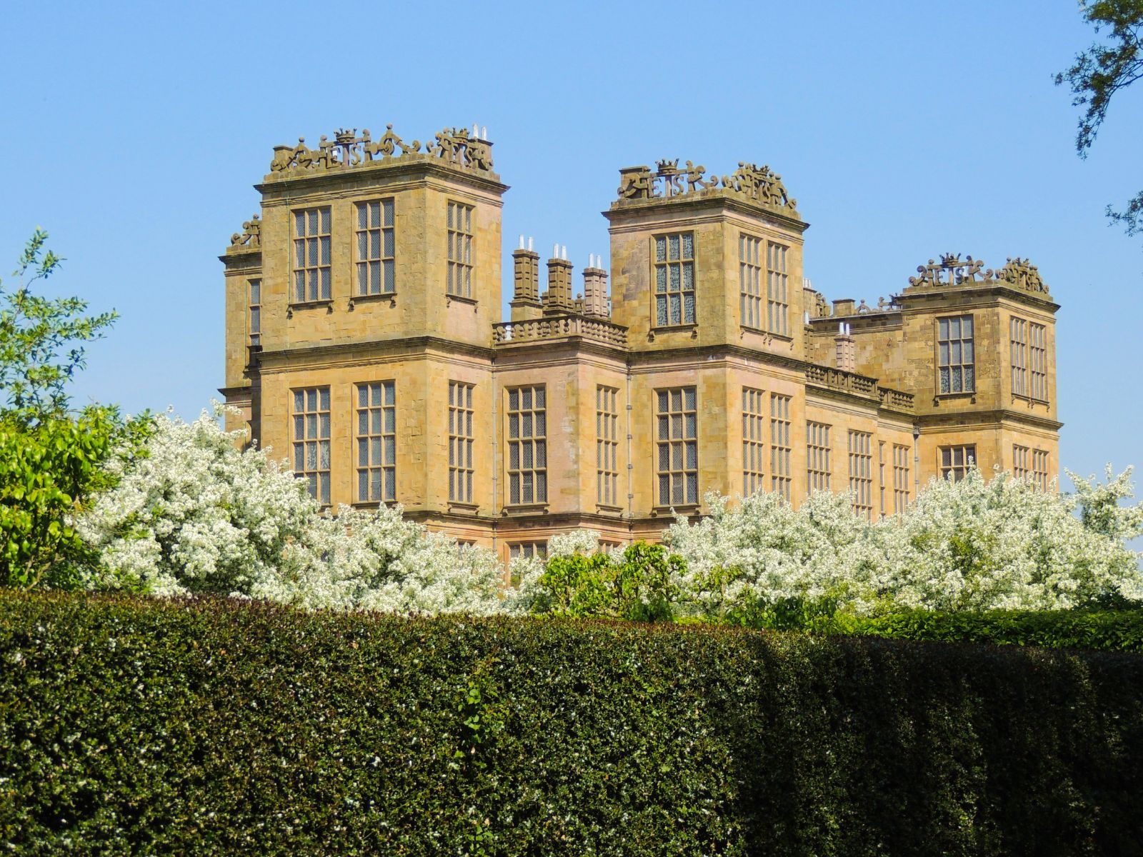 Blossoms on the grounds of Hardwick Hall in Derbyshire