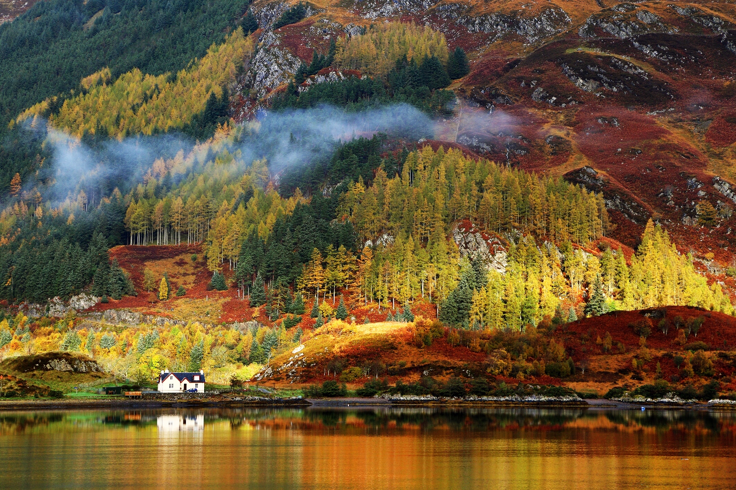 Coloured trees in the Highlands, Scotland