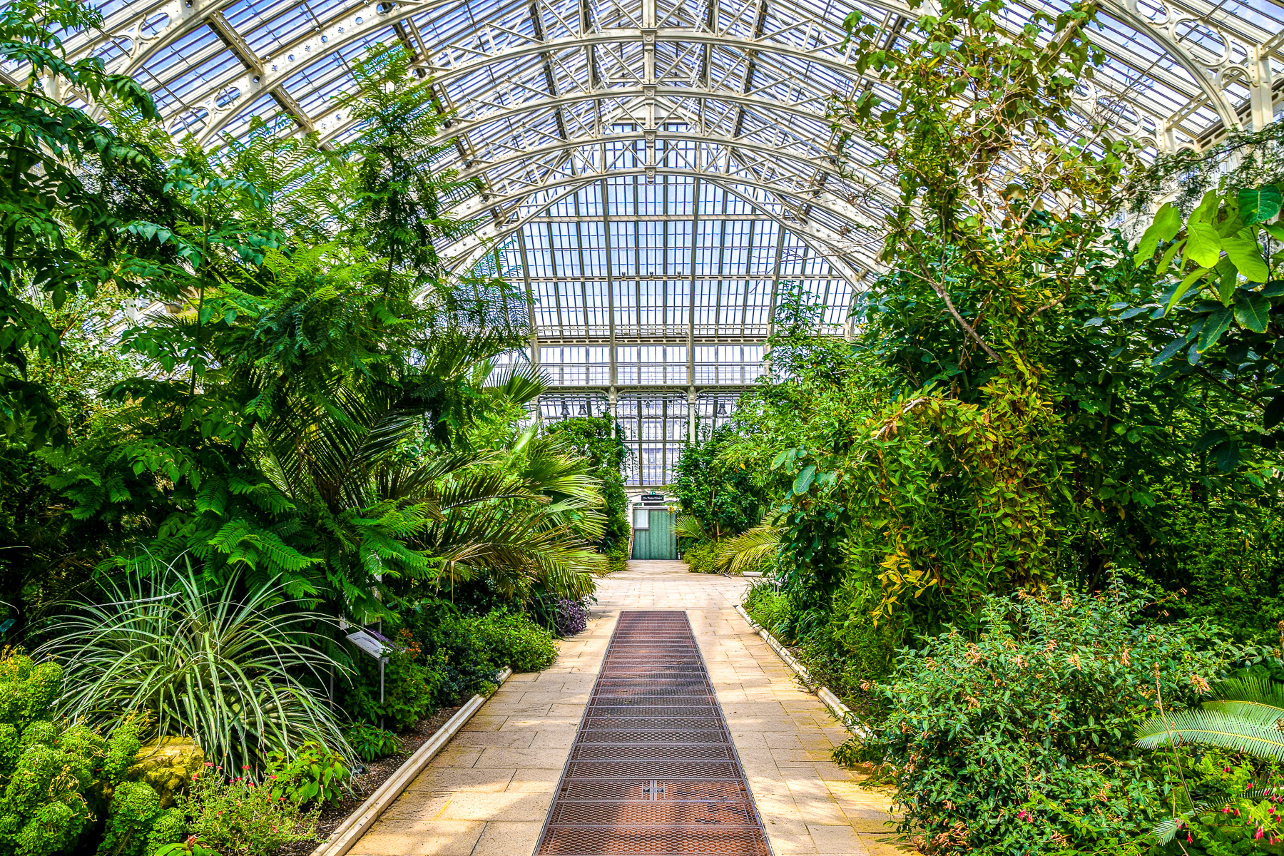 Interior view of the conservatory at Kew Gardens