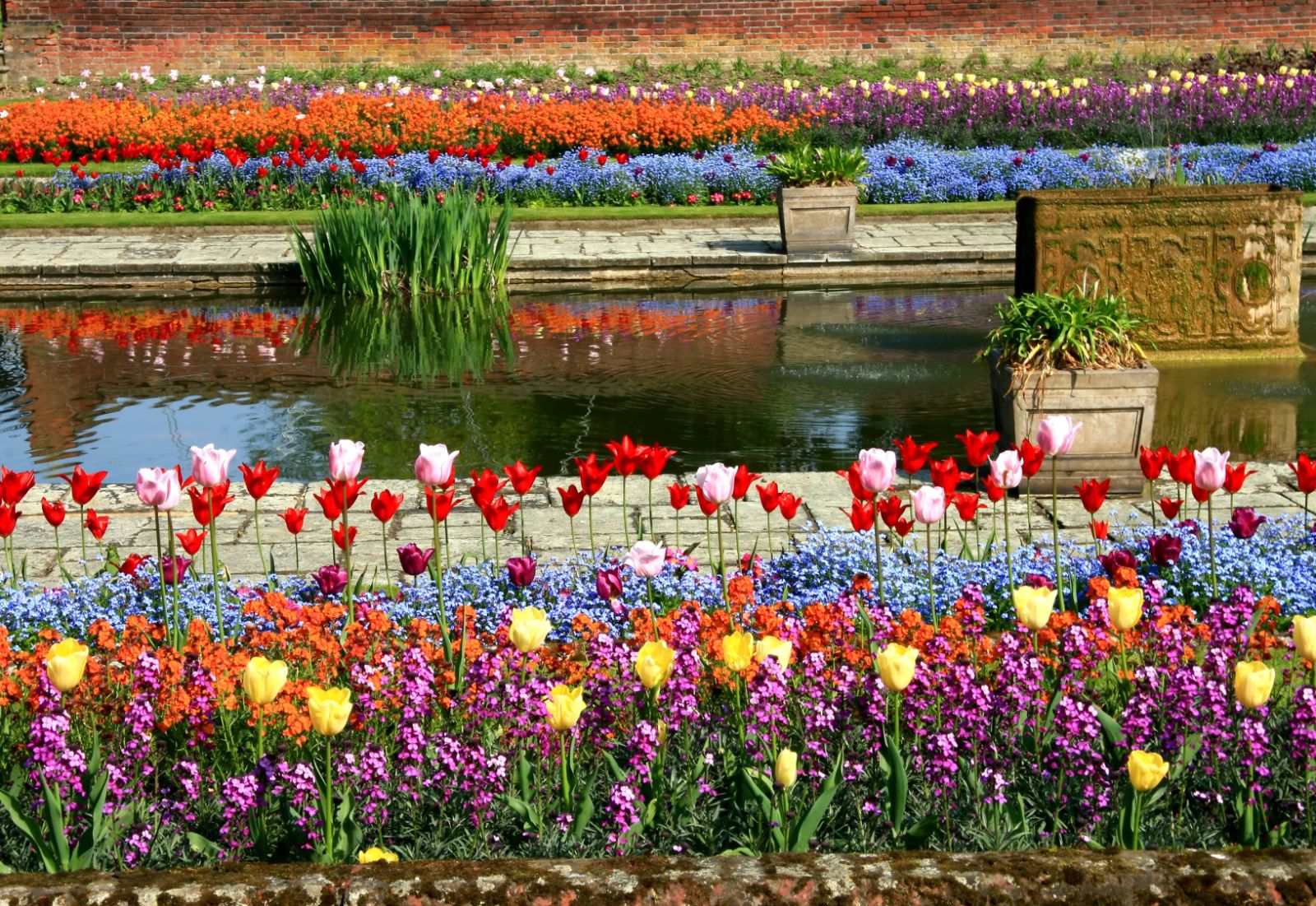 Flowers belonging to Kensington Palace Gardens in the United Kingdom