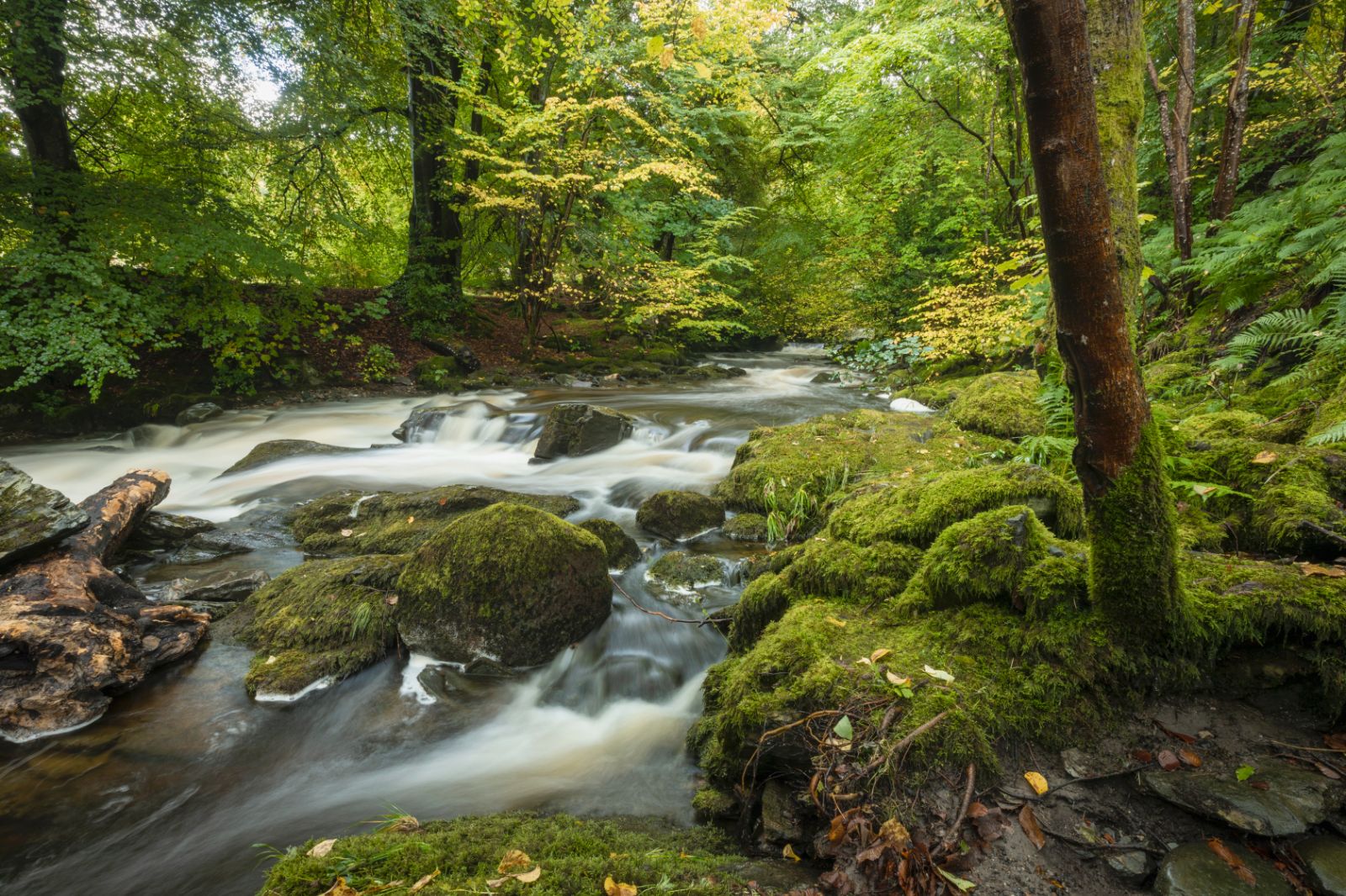Birks of Aberfeldy in Pertshire, Scotland