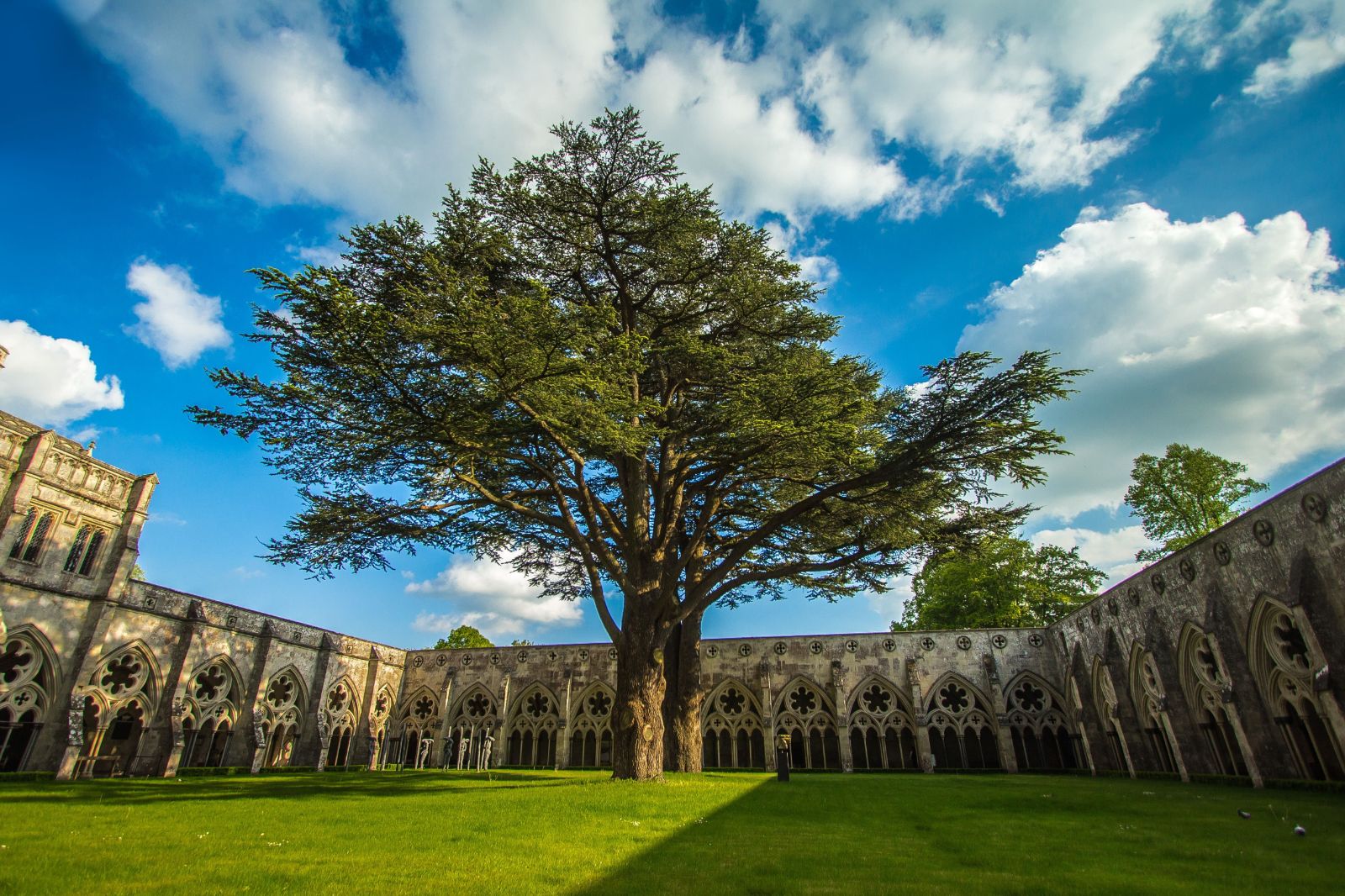 Salisbury Cathedral gardens in the South West of England