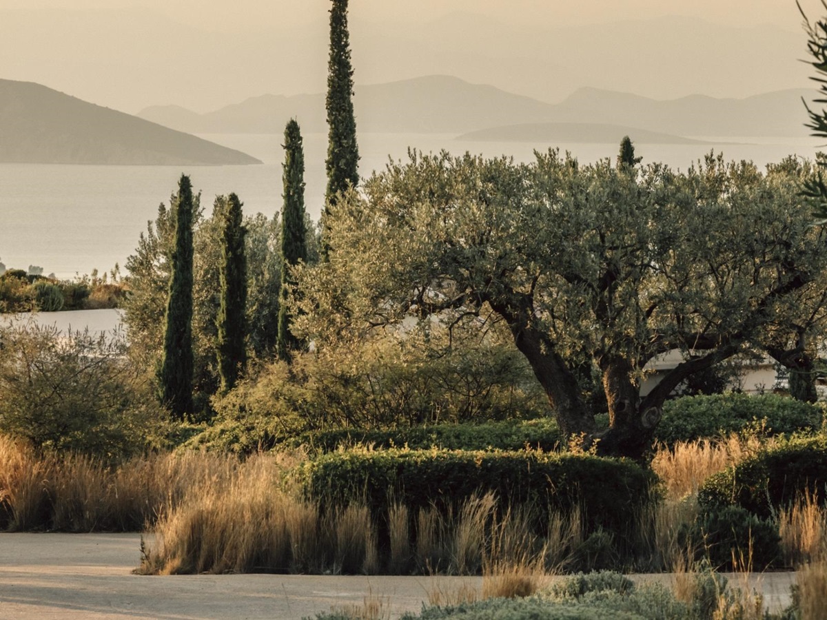 The gardens at Amanzoe