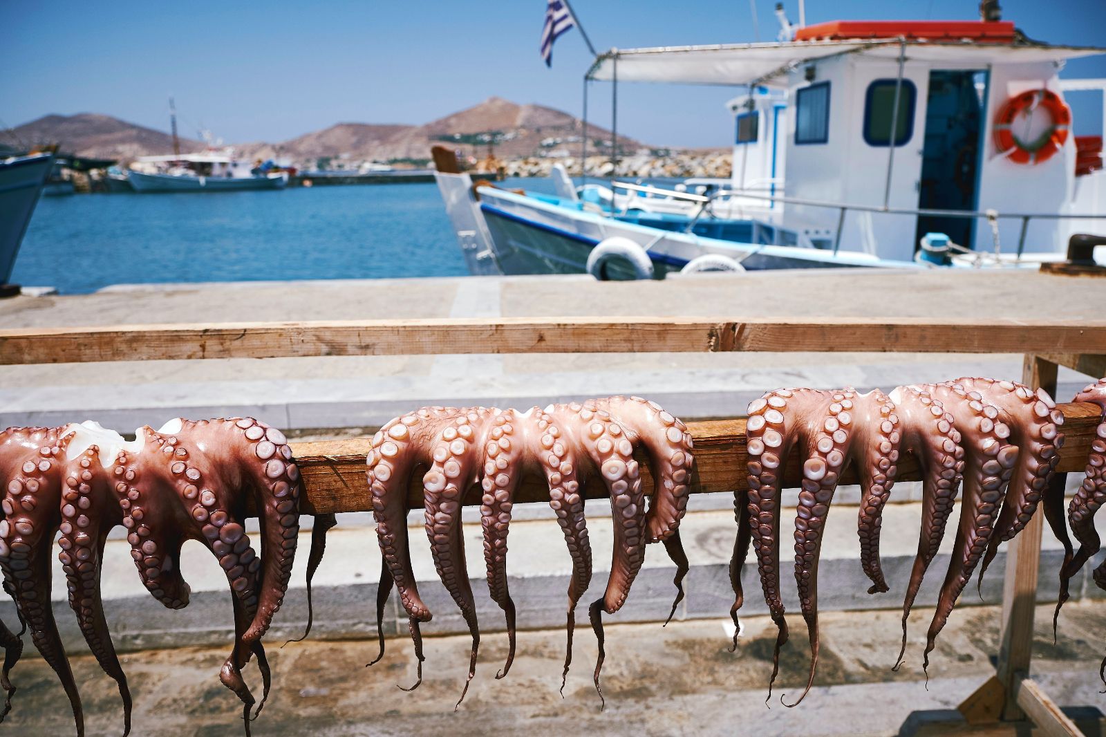 Octopus drying in the sunshine in the Greek islands