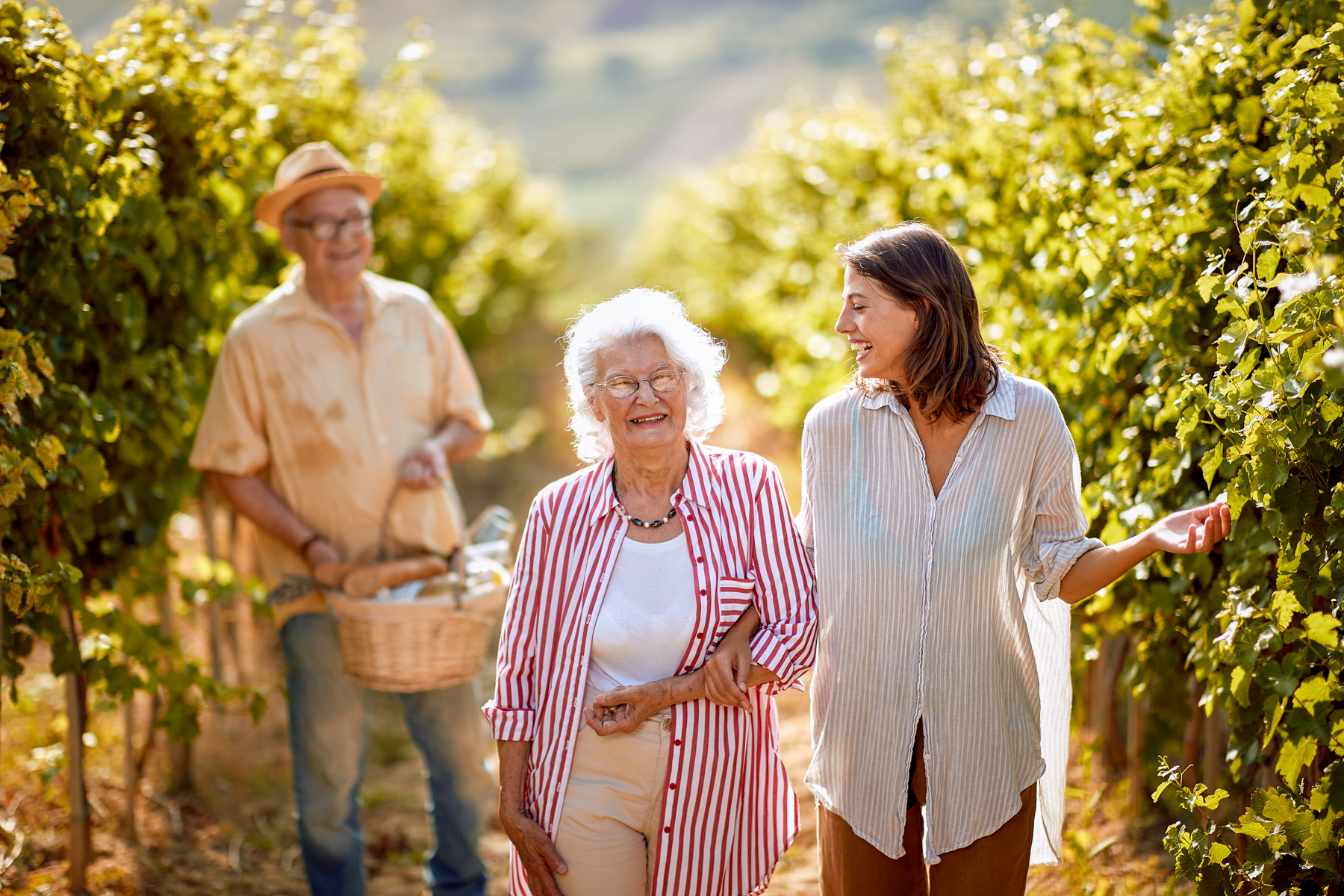 Vineyard tour in Greece