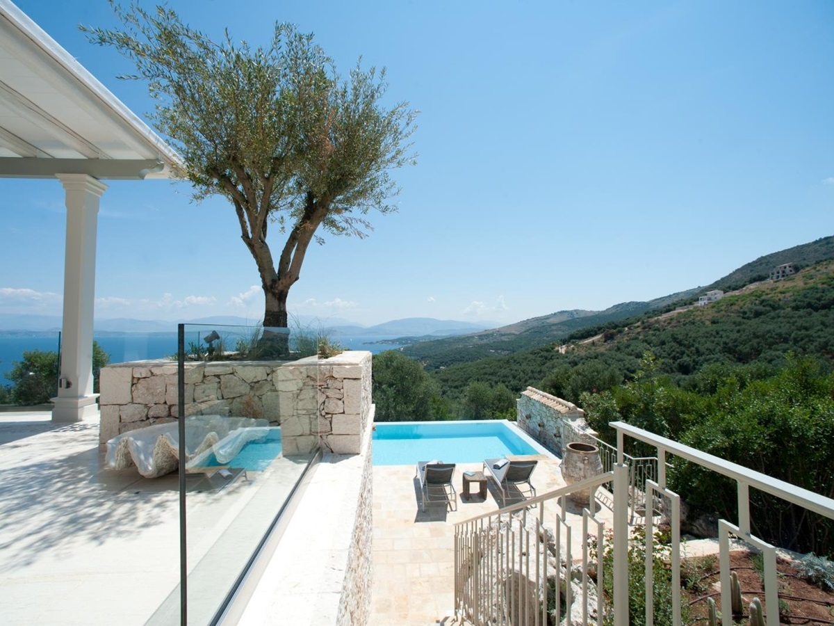 Large olive tree and view towards the sea at Villa Dionysos, Corfu