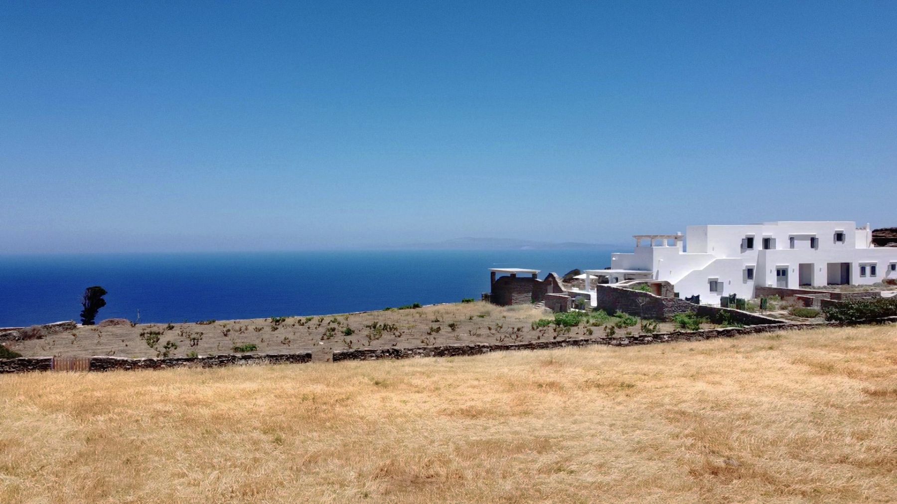 Wheat fields at Villa Eleonas, Sifnos 