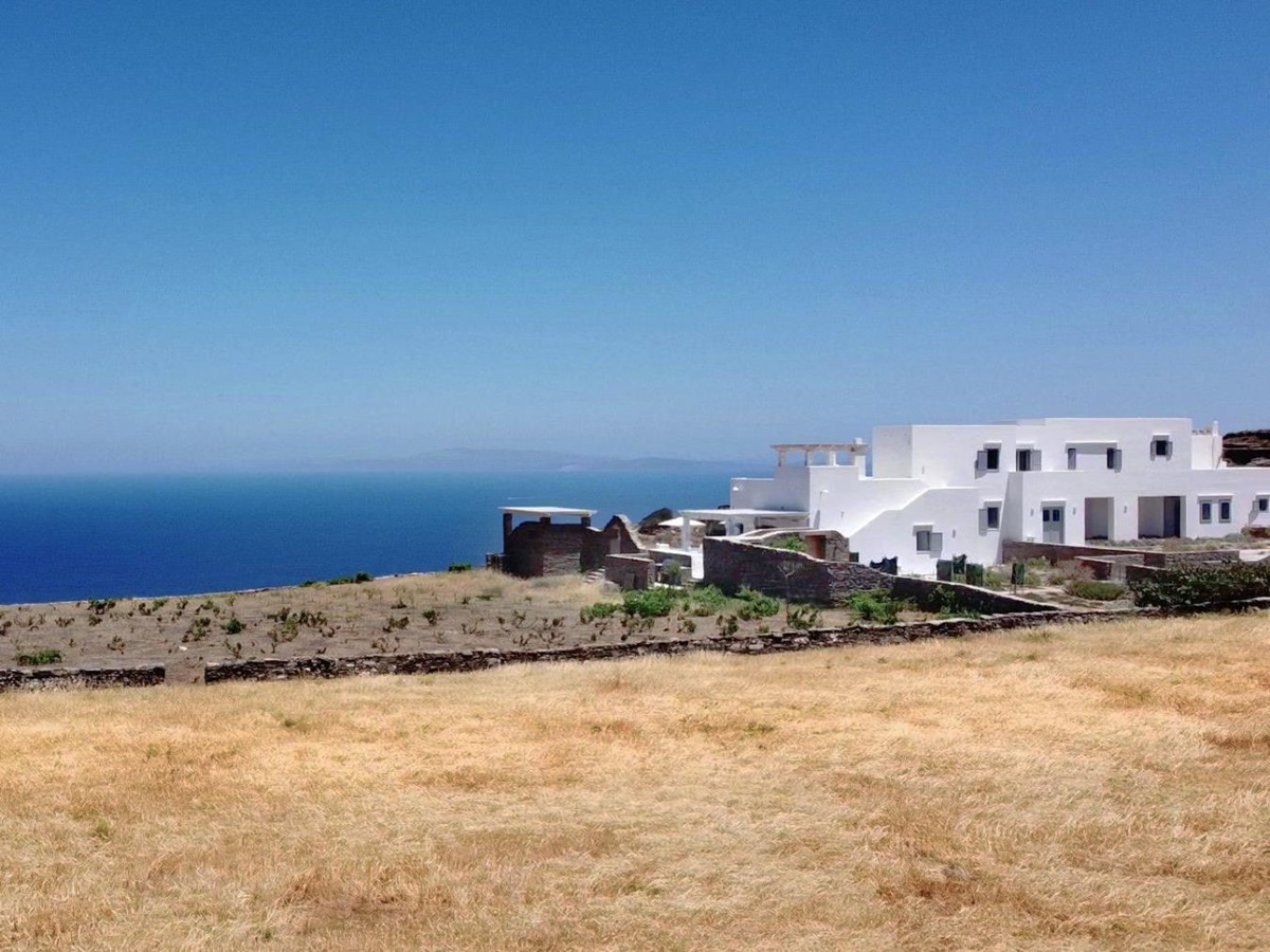 Wheat fields at Villa Eleonas, Sifnos